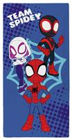 Disney Spidey & Friends Beach Towel - Blue