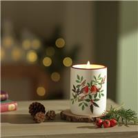 Argos Home Robin Ceramic Candle - Christmas Spice