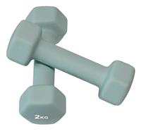 Pro Fitness YD24009 Cast Iron Dumbbells - 2 x 2kg