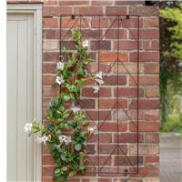 Ivyline Herringbone Trellis Bronze - 120 X 60cm