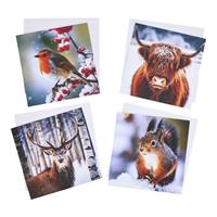 Argos Home Pack of 24 Animal Image Christmas Cards Multipack