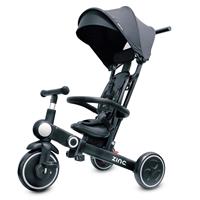 Zinc Toddler 7 in 1 Multifunctional Trike