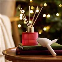 Argos Home 90ml Robin Diffuser - Christmas Spice