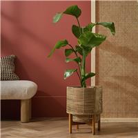Habitat Large Woven Rattan Planter with Stand - Natural