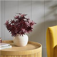Argos Home Artificial Burgundy Autumnal Acer in Ceramic Pot
