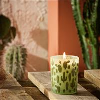 Habitat Small Boxed Candle - Texas