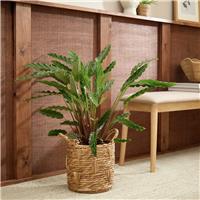 Habitat Large Rattan Handle Planter