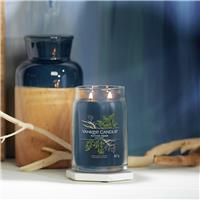 Yankee Signature Large Jar Candle - Bayside Cedar
