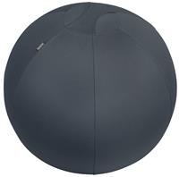 Leitz Ergo Cosy Active Sitting Ball - 75cm