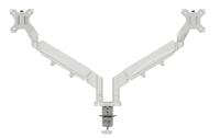 Leitz Ergo Dual Monitor Arm - Light Grey