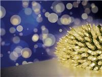 Premier Fairy Cap 300 String LED Christmas Light