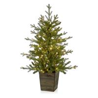 Premier Prelit Frozen Spruce 200 LEDs Potted Christmas Tree