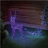 Premier Enchanted Reindeer and Sleigh Christmas Decoration