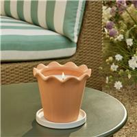 Argos Home Scalloped Terracotta-Effect Citronella Candle