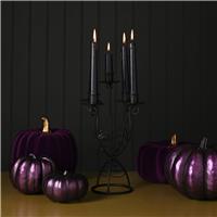 Hocus Pocus Novelties