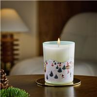 Habitat Medium Boxed Candle - Aspen