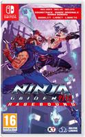 Ninja Gaiden: Ragebound Nintendo Switch Game