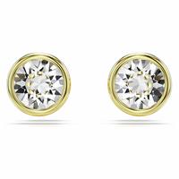 Swarovski Gold Tone Plated Crystal Imber Stud Earrings