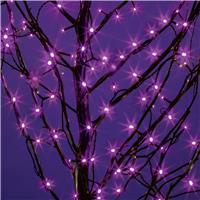 Premier Superbrights Purple 200 Led Lights