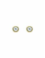 Ted Baker Sinee Gold Tone Plated Crystal Round Stud Earrings