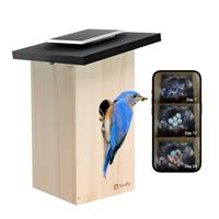 Birdfy Ebony Lite Smart Bird House with Camera