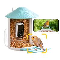Birdfy AI Bird Feeder Solar Powered with Camera
