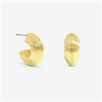 Jon Richard Ribbed Hoop Earrings