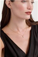 Ted Baker Yellow Gold Hannela Crystal Heart Pendant Necklace