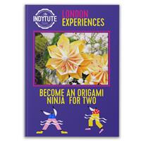 Become An Origami Ninja For Two Gift Experience