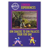 Gin Shacks To Gin Palaces Tour For One Gift Experience