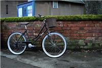 Dawes Classic 26 Inch Wheel Size Adult Hybrid Bike