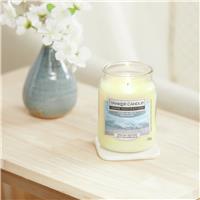 Yankee Candle Large Scented Jar Candle - Shoreline Breeze