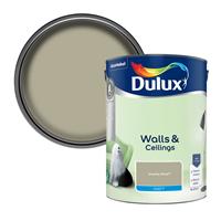 Dulux Walls & Ceilings Matt Overtly Olive - 5L