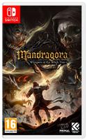 Mandragora: Whispers of the Witch Tree Switch Game