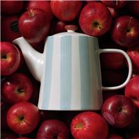 Habitat x Sanderson & National Trust Blue Stripe Teapot