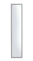 Home Essentials Grey Full Length Over the Door Mirror