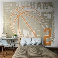 Origin Murals Modern Basketball Grey Wall Mural
