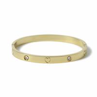 Freedom Gold Tone Stainless Steel Heart and Crystal Bangle