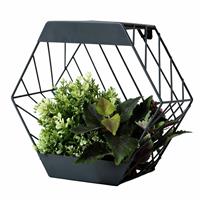 Streetwize Garden 29cm Hexagonal Metal Solar Wall Planter