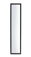 Home Essentials Black Full Length Over the Door Mirror