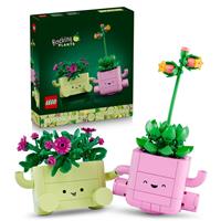 LEGO Botanicals Rocking Plants Artificial Flowers Set 11506