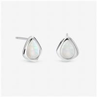 Inicio Silver Plated Opal Polished Stud Earrings