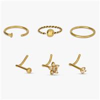 Revere Gold Coloured Steel Nose Studs and Hoops - Set of 6