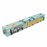 TP Toys Wooden Cricket Set Outdoor Game