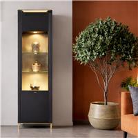 Furniture To Go Genoa 1 Door Display Cabinet - Black & Gold