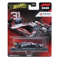 Hot Wheels F1 Collectable Gene Haas Styled Toy Car