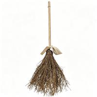 Daisy Darcy Light Up Effect Realistic Witches Broom