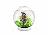biOrb Classic 30 Multi-Colour Remote Aquarium - White