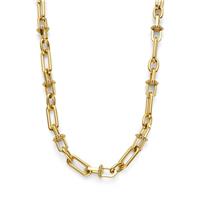 Olivia Burton Stainless Steel Gold IP Anchor Link Chain-18in