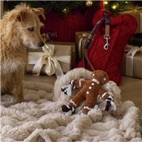Argos Home Gingerbread Person Soft Dog Toy